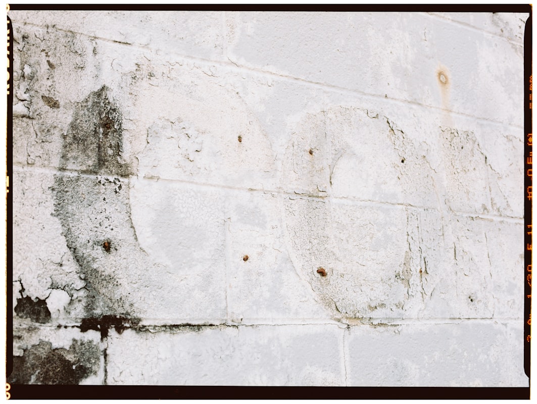 Mold Remediation service in La Habra, CA