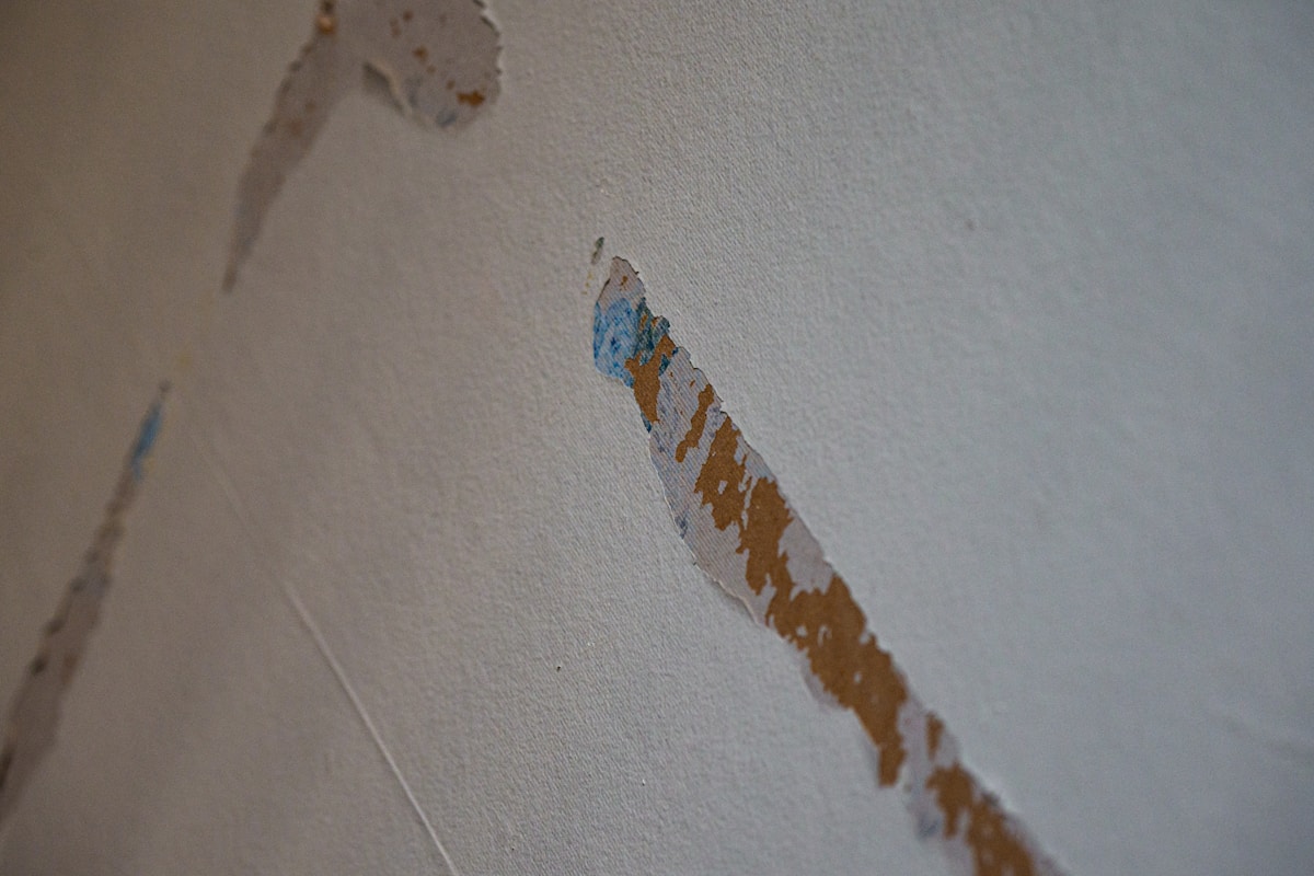 Storm Damage Repair service in La Habra, CA